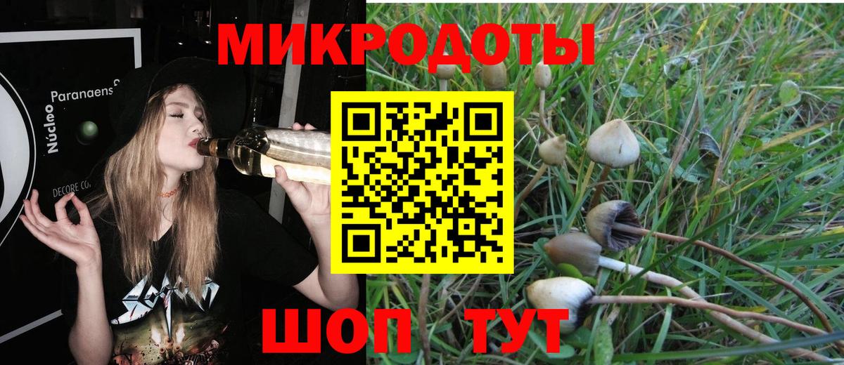 Галлюциногенные грибы Psilocybine cubensis Ейск